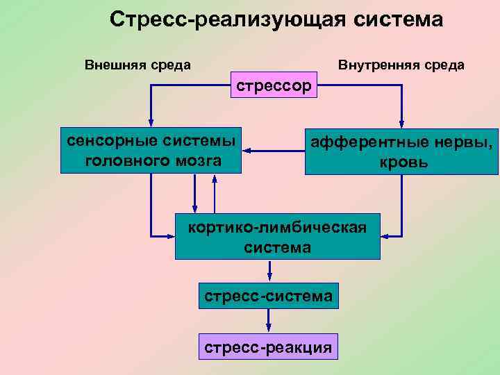 Схема стресс реализующей системы