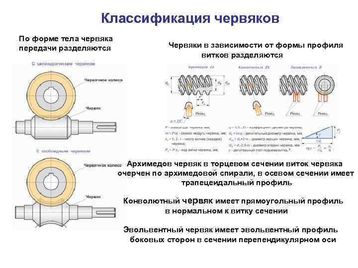 Классификация червяков По форме тела червяка передачи разделяются Червяки в зависимости от формы профиля