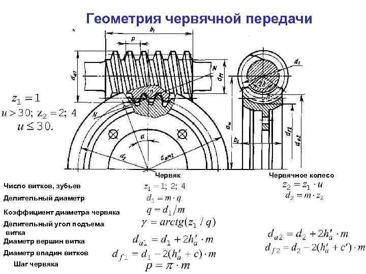 Геометрические червячные передачи