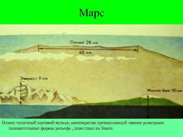 Марс Олимп типичный щитовой вулкан, многократно превышающий своими размерами положительные формы рельефа , известные