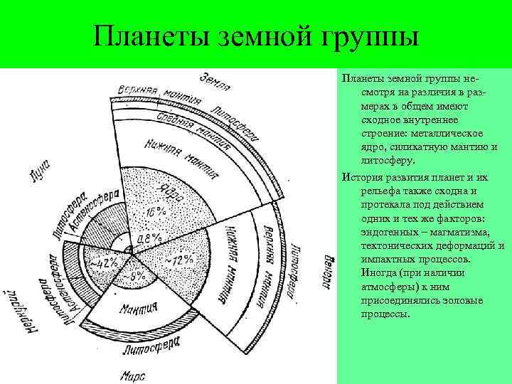 Планеты земной группы несмотря на различия в размерах в общем имеют сходное внутреннее строение: