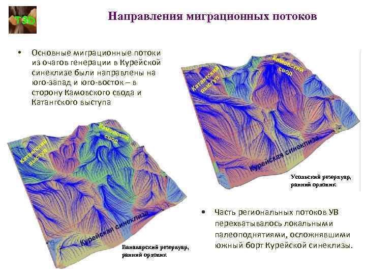 T 3 D • Направления миграционных потоков Основные миграционные потоки из очагов генерации в