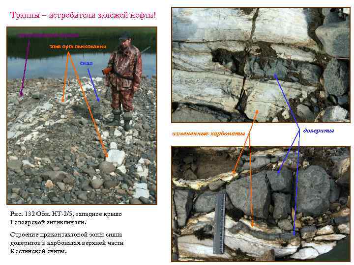 Траппы – истребители залежей нефти! неизмененные породы зона ороговикования силл измененные карбонаты Рис. 132
