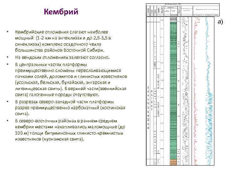 Кембрий а) • • • Кембрийские отложения слагают наиболее мощный (1 -2 км на