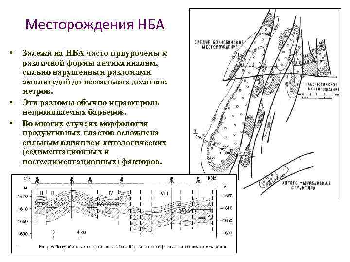 Месторождения НБА • • • Залежи на НБА часто приурочены к различной формы антиклиналям,