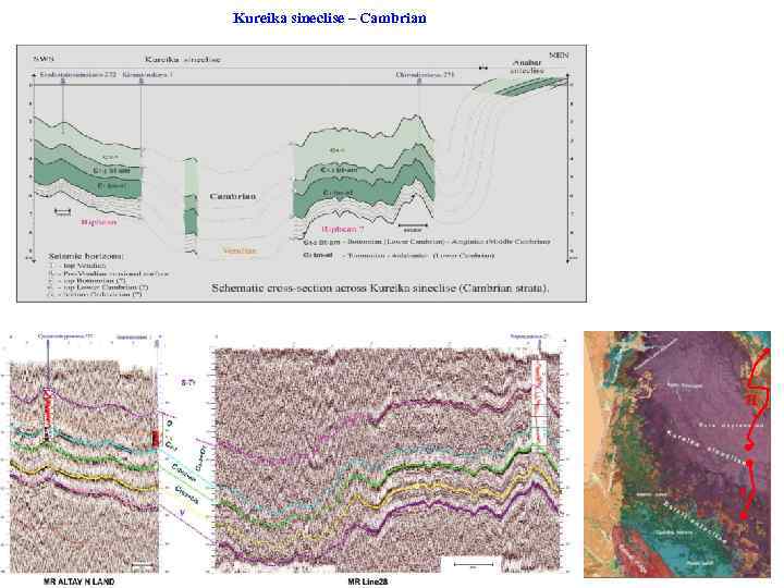 Kureika sineclise – Cambrian II I 