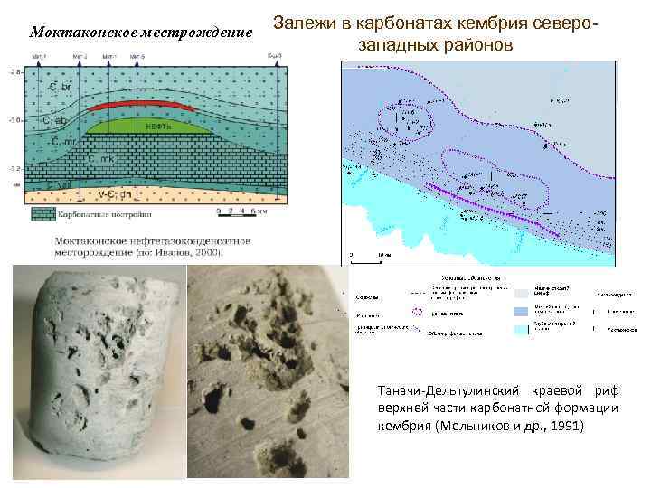 Моктаконское местрождение Залежи в карбонатах кембрия северозападных районов Таначи-Дельтулинский краевой риф верхней части карбонатной