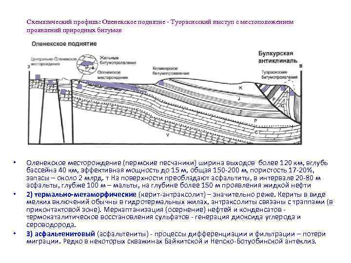 Схематический профиль: Оленекское поднятие - Туорасисский выступ с местоположением проявлений природных битумов • •