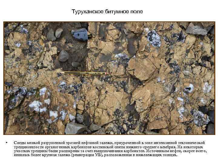 Туруханское битумное поле • Следы мелкой разрушенной эрозией нефтяной залежи, приуроченной к зоне интенсивной