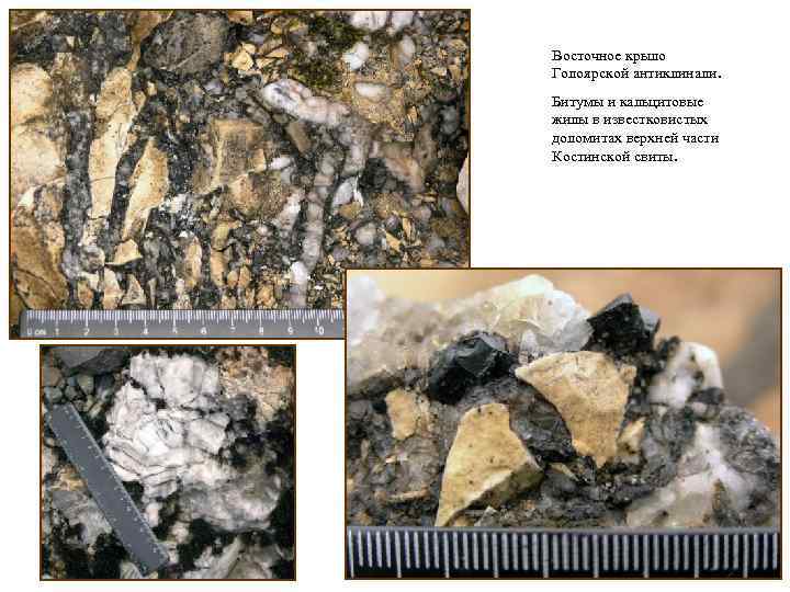 Восточное крыло Голоярской антиклинали. Битумы и кальцитовые жилы в известковистых доломитах верхней части Костинской