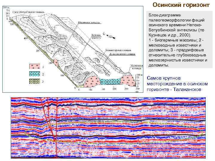 Блок горизонт. Осинский Горизонт Талаканского месторождения. Геологический разрез Непско Ботуобинской антеклизы. Осинский Горизонт Верхнечонского месторождения. Осинский Горизонт стратиграфия.