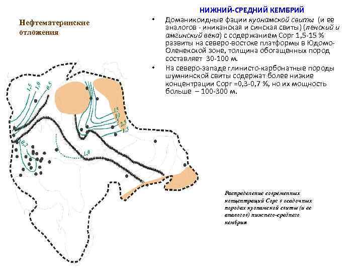Нефтематеринские отложения • • НИЖНИЙ-СРЕДНИЙ КЕМБРИЙ Доманикоидные фации куонамской свиты (и ее аналогов -