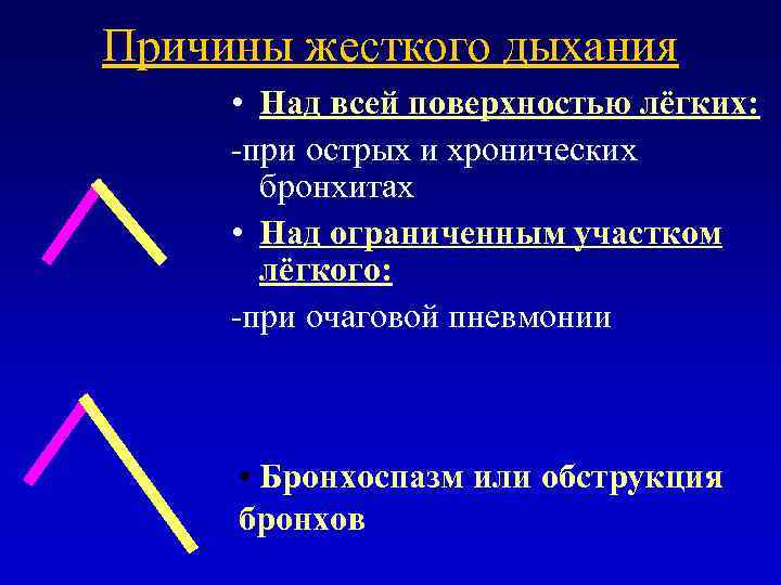 Причины жесткого дыхания • Над всей поверхностью лёгких: -при острых и хронических бронхитах •