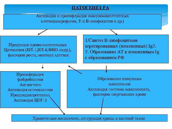 ПАТОГЕНЕЗ РА Активация и пролиферация иммунокомпетентных клеток(макрофагов, Т-и В-лимфоцитов и др. ) Продукция провоспалительных