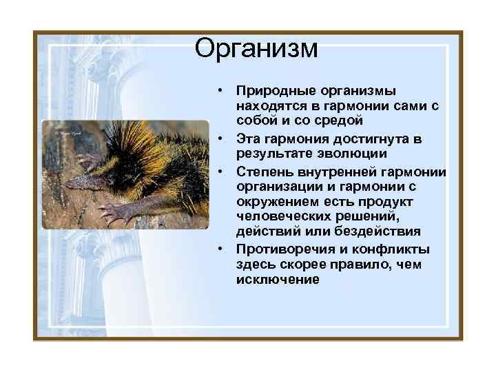 Организм • Природные организмы находятся в гармонии сами с собой и со средой •