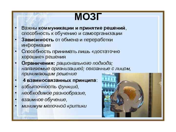 МОЗГ • Важны коммуникации и принятие решений, способность к обучению и самоорганизации • Зависимость