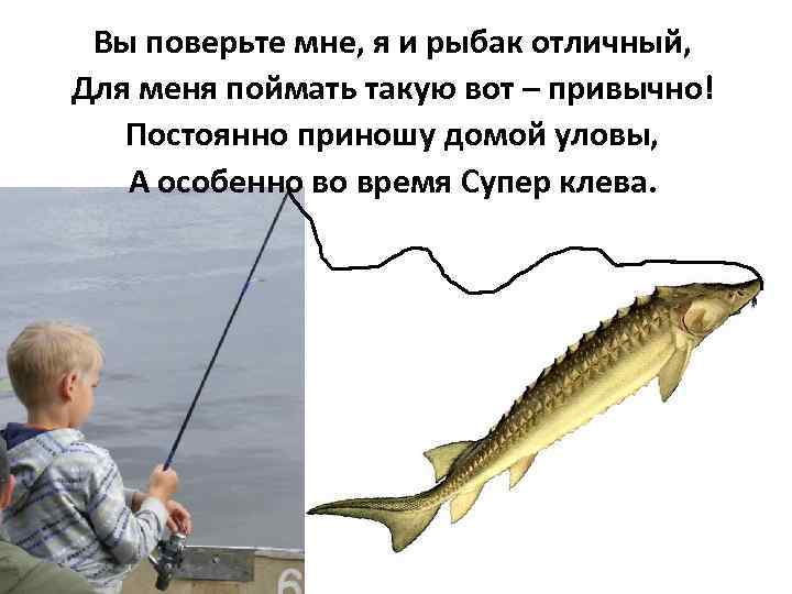 Вы поверьте мне, я и рыбак отличный, Для меня поймать такую вот – привычно!