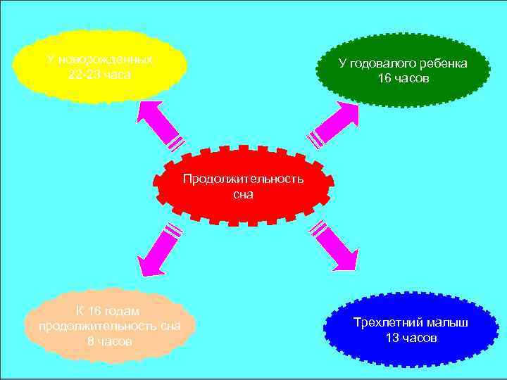У новорожденных 22 -23 часа У годовалого ребенка 16 часов Продолжительность сна К 16