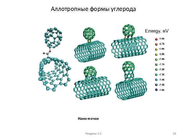 Аллотропные формы углерода Нано-почки Разделы 1 -2 14 