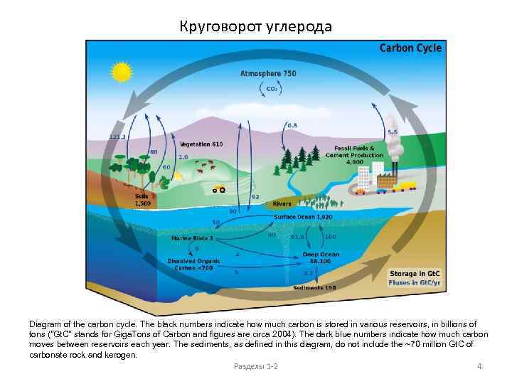 Круговорот углерода Diagram of the carbon cycle. The black numbers indicate how much carbon