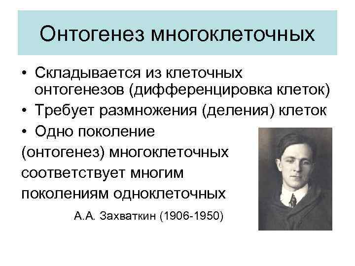 Онтогенез многоклеточных • Складывается из клеточных онтогенезов (дифференцировка клеток) • Требует размножения (деления) клеток