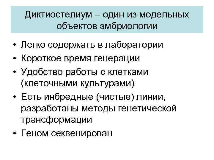 Диктиостелиум – один из модельных объектов эмбриологии • Легко содержать в лаборатории • Короткое