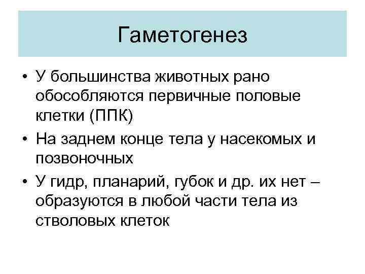 Гаметогенез • У большинства животных рано обособляются первичные половые клетки (ППК) • На заднем