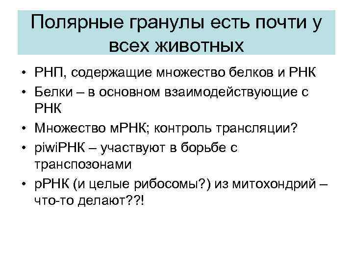 Полярные гранулы есть почти у всех животных • РНП, содержащие множество белков и РНК