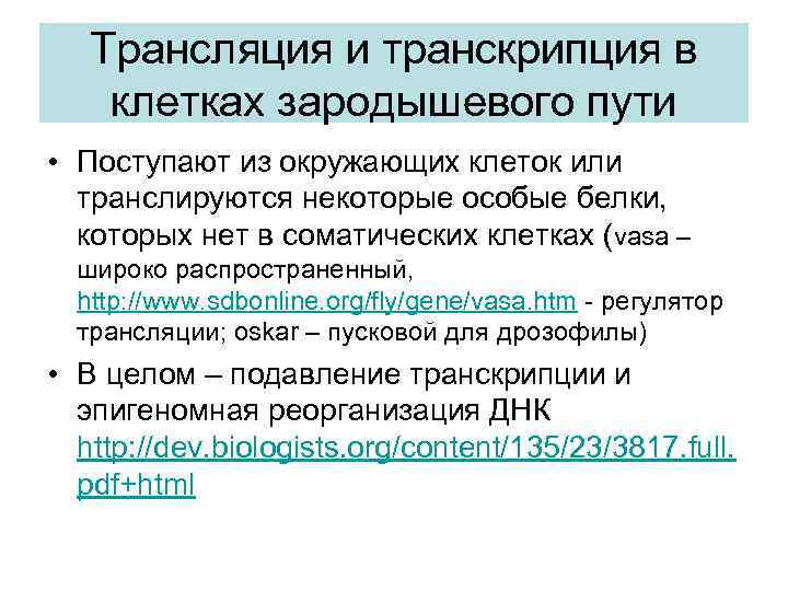 Трансляция и транскрипция в клетках зародышевого пути • Поступают из окружающих клеток или транслируются