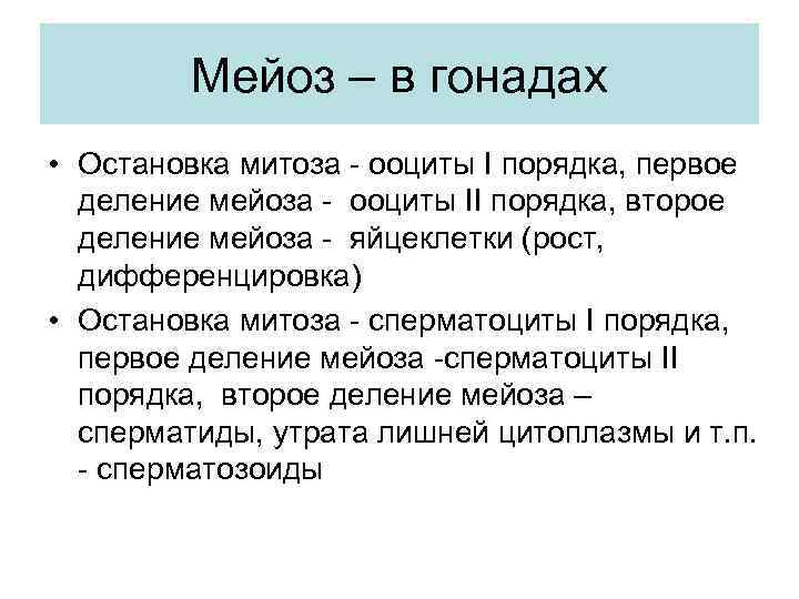 Мейоз – в гонадах • Остановка митоза - ооциты I порядка, первое деление мейоза