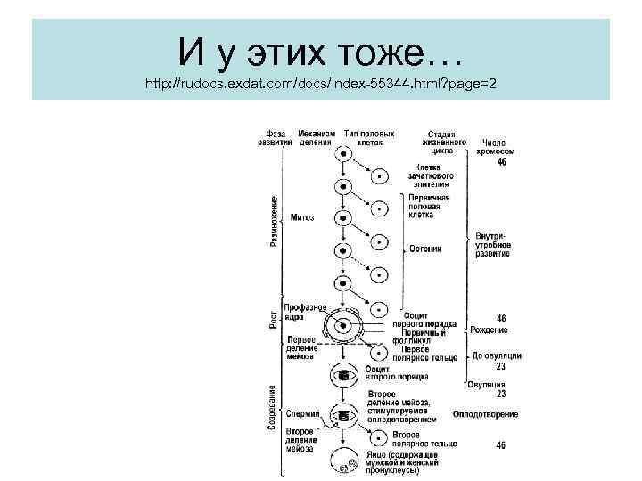 И у этих тоже… http: //rudocs. exdat. com/docs/index-55344. html? page=2 