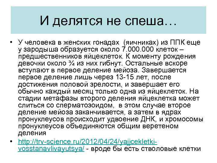 И делятся не спеша… • У человека в женских гонадах (яичниках) из ППК еще