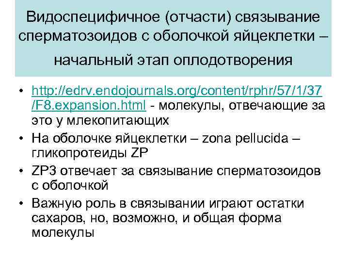 Видоспецифичное (отчасти) связывание сперматозоидов с оболочкой яйцеклетки – начальный этап оплодотворения • http: //edrv.