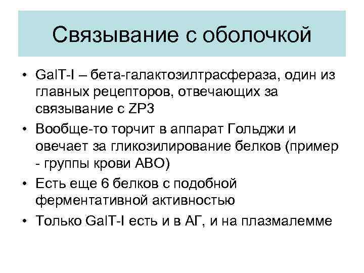 Связывание с оболочкой • Gal. T-I – бета-галактозилтрасфераза, один из главных рецепторов, отвечающих за