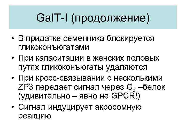 Gal. T-I (продолжение) • В придатке семенника блокируется гликоконъюгатами • При капаситации в женских