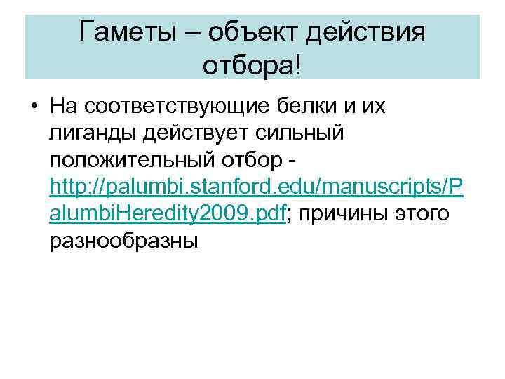 Гаметы – объект действия отбора! • На соответствующие белки и их лиганды действует сильный