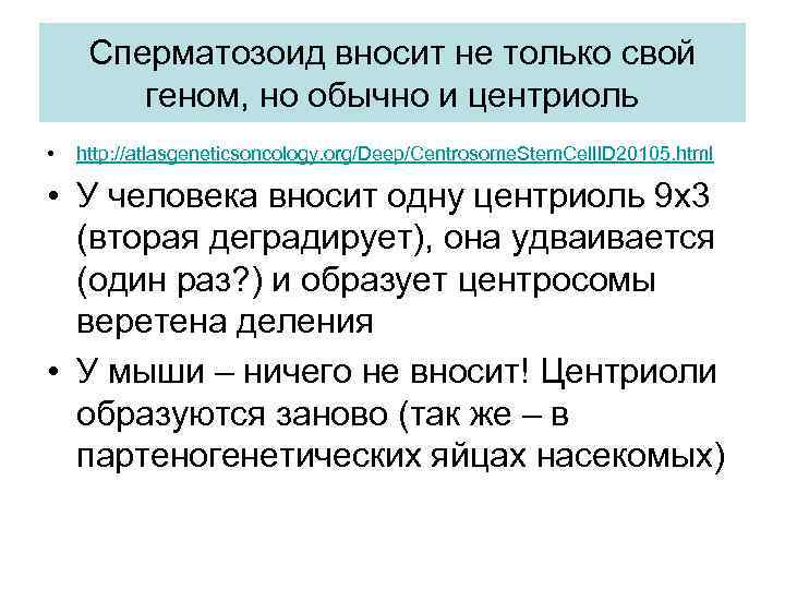 Сперматозоид вносит не только свой геном, но обычно и центриоль • http: //atlasgeneticsoncology. org/Deep/Centrosome.