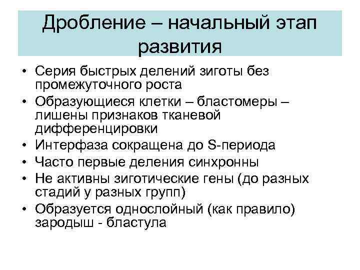 Дробление – начальный этап развития • Серия быстрых делений зиготы без промежуточного роста •