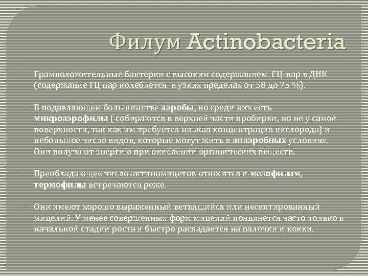 Филум Actinobacteria Грамположительные бактерии с высоким содержанием ГЦ-пар в ДНК (содержание ГЦ пар колеблется