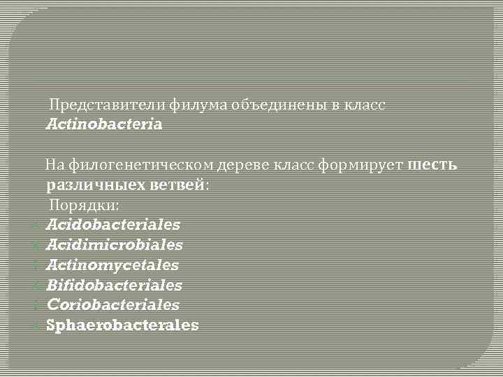  Представители филума объединены в класс Actinobacteria На филогенетическом дереве класс формирует шесть различныех