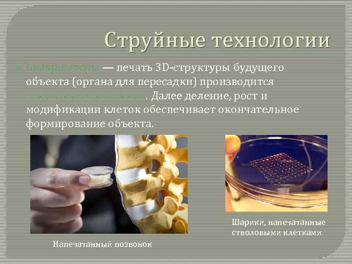 Струйные технологии Биопринтеры — печать 3 D-структуры будущего объекта (органа для пересадки) производится стволовыми