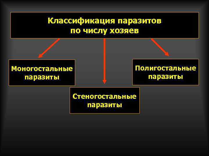 Классификация паразитов по числу хозяев Моногостальные паразиты Полигостальные паразиты Стеногостальные паразиты 
