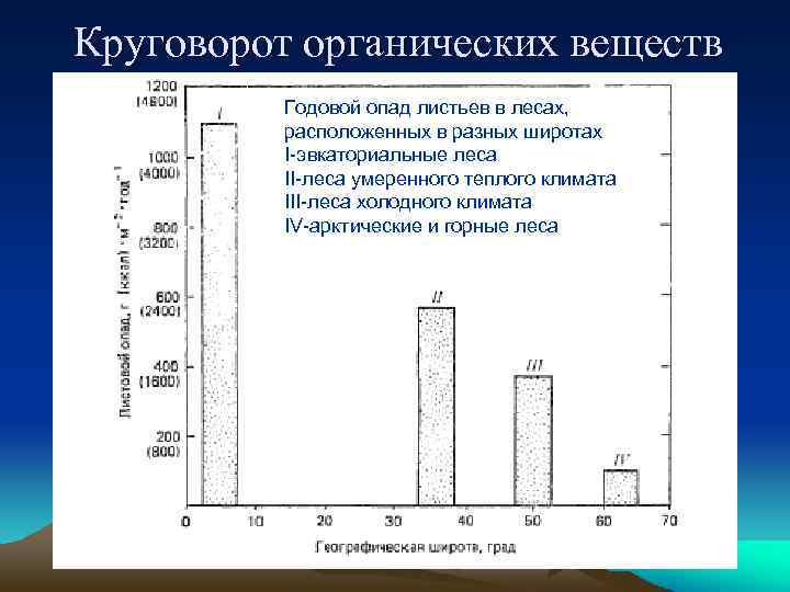 Круговорот органических веществ Годовой опад листьев в лесах, расположенных в разных широтах I-эвкаториальные леса