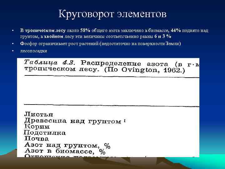 Круговорот элементов • • • В тропическом лесу около 58% общего азота заключено в