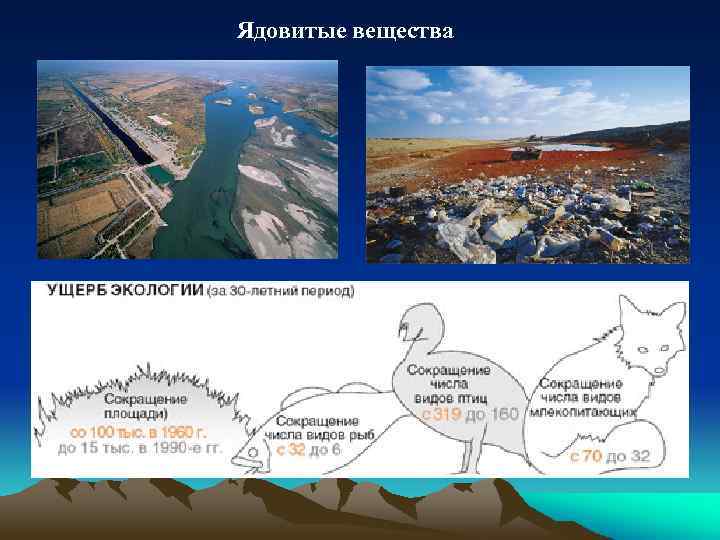 Ядовитые вещества 