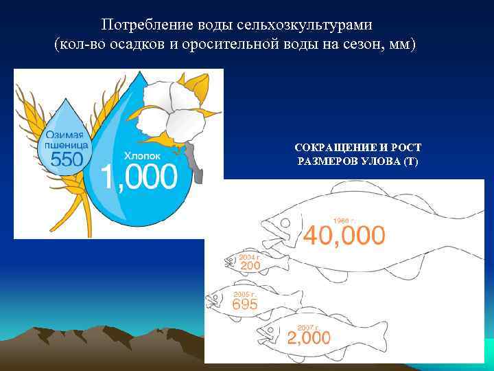 Потребление воды сельхозкультурами (кол-во осадков и оросительной воды на сезон, мм) СОКРАЩЕНИЕ И РОСТ