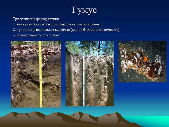 Гумус Три важных характеристики 1. механический состав, процент песка, ила или глины 2. процент