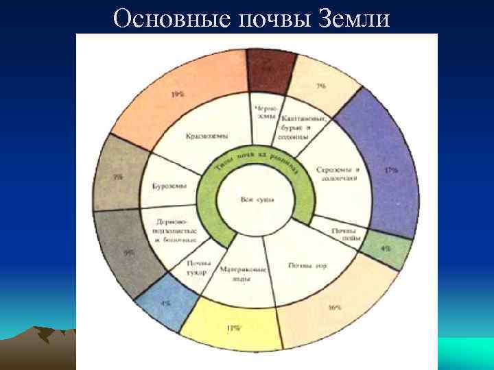 Основные почвы Земли 