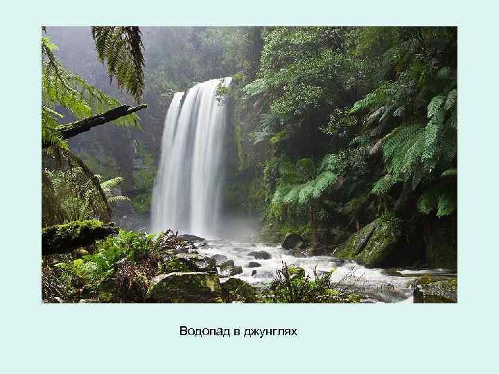 Водопад в джунглях 