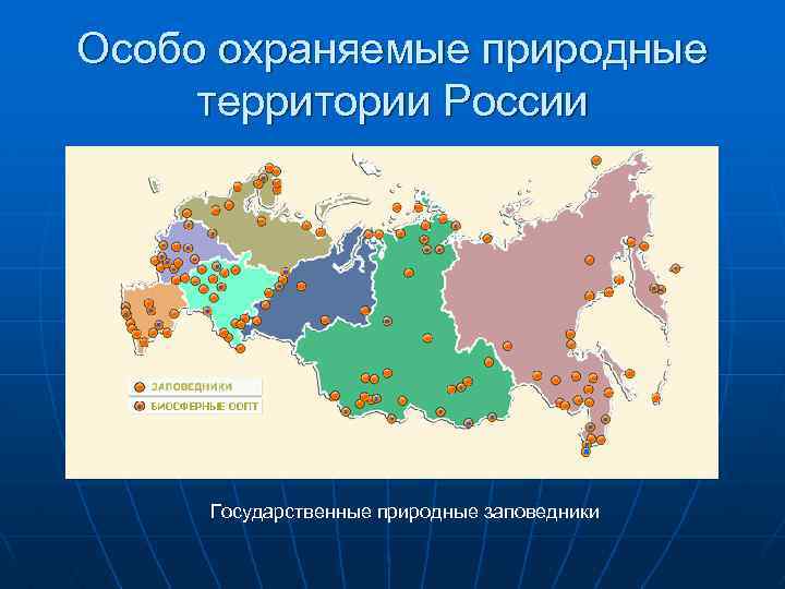 Особо охраняемые природные территории России Государственные природные заповедники 